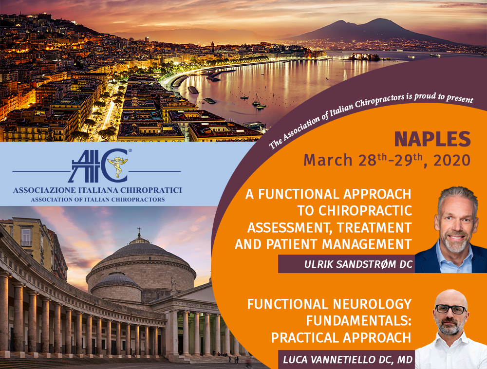 AIC Seminar | Naples 2020